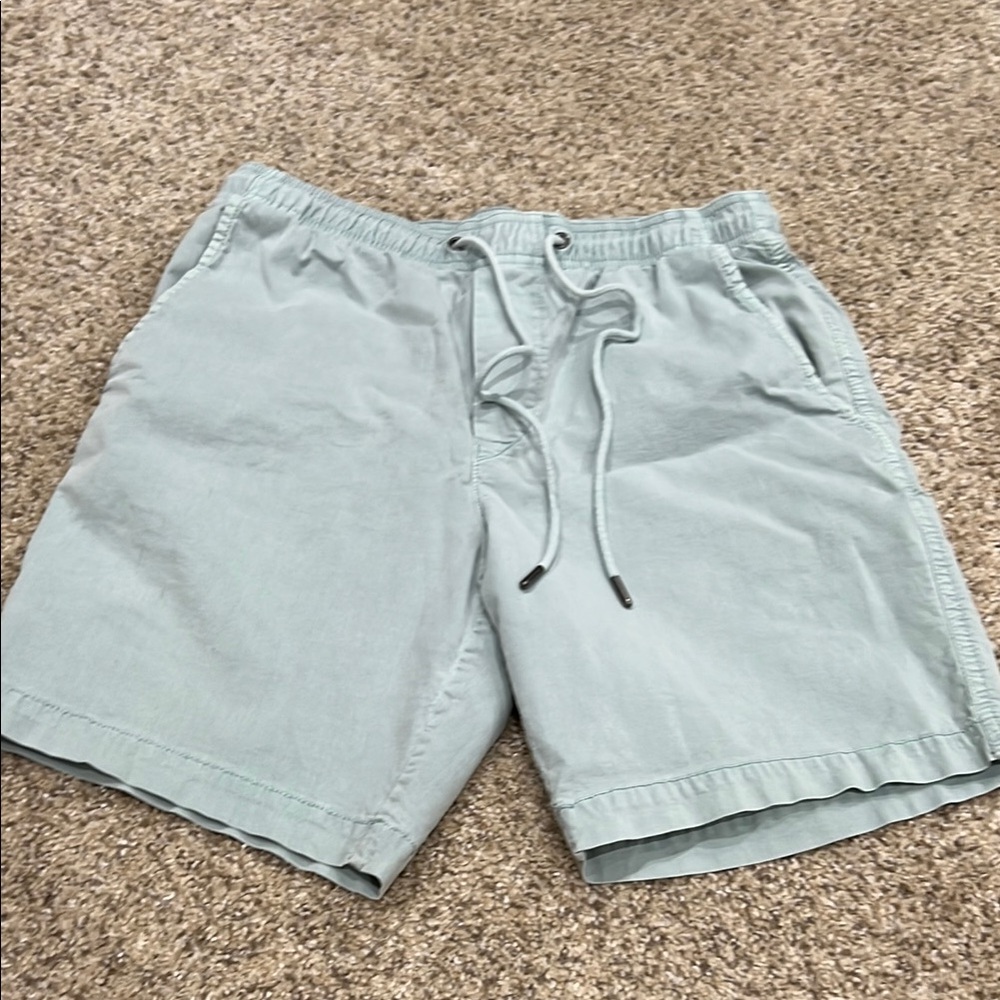 American Eagle Mens Shorts